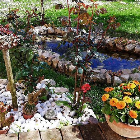 B&B La Ginestra Sirolo Exterior foto